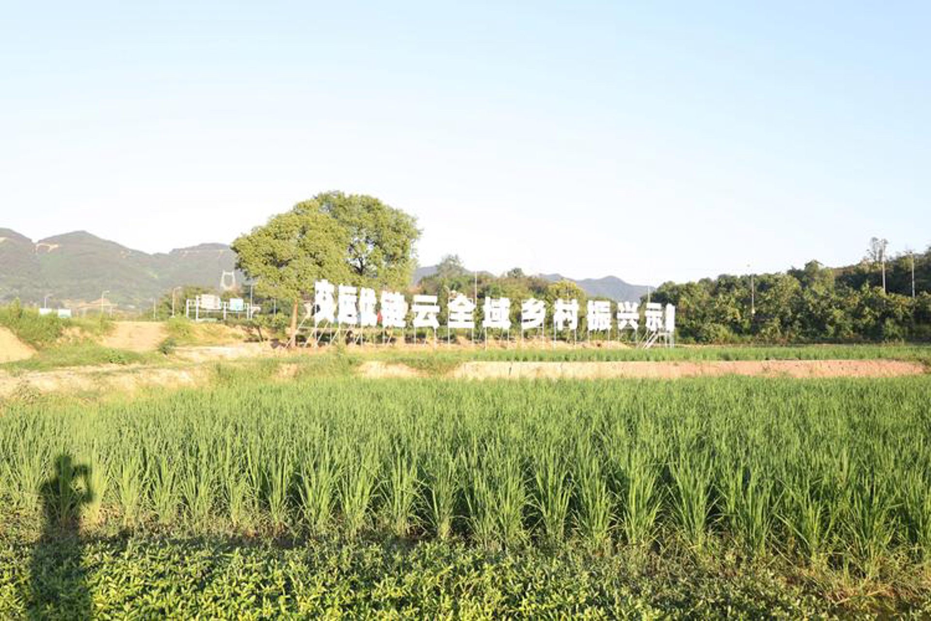 山谷春生态农业
