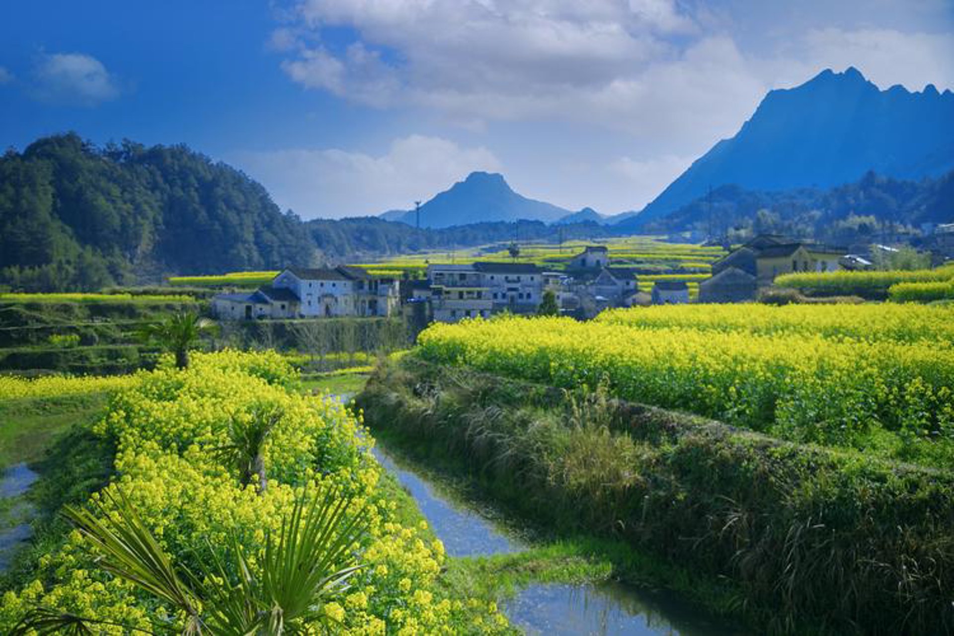 山谷春生态农业
